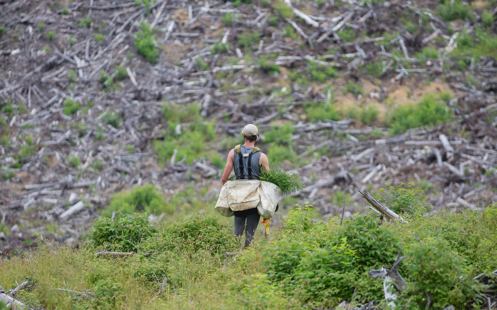 man-tree-planter-carrying-tree-saplings_2000x